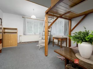 Prodej rodinného domu, Janov nad Nisou, 379 m2