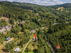 Prodej rodinného domu, Janov nad Nisou, 379 m2