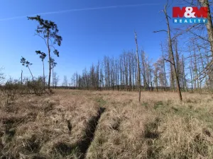 Prodej lesa, Veletov, 5891 m2