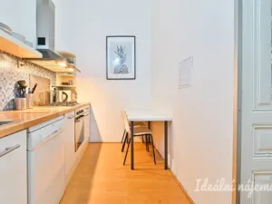 Pronájem bytu 2+1, Brno - Brno-město, Veselá, 53 m2