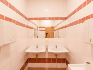 Pronájem kanceláře, Praha - Chodov, Türkova, 500 m2