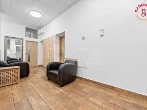 Prodej obchodního prostoru, Brno, Lidická, 153 m2