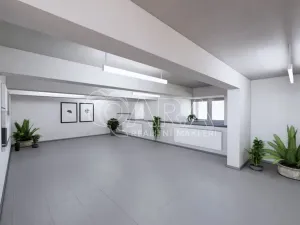 Prodej obchodního prostoru, Brno, Lidická, 172 m2