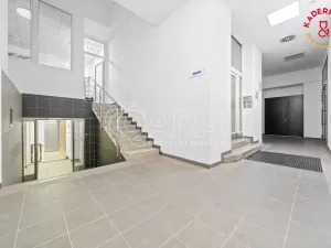 Prodej obchodního prostoru, Brno, Lidická, 172 m2