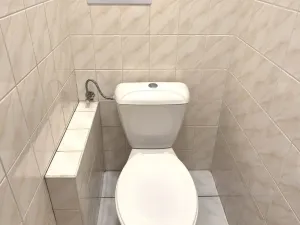 Pronájem bytu 2+kk, Písek - Pražské Předměstí, V Portyči, 65 m2