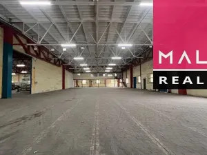 Pronájem skladu, Aš, 8243 m2