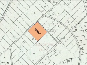 Prodej lesa, Štěchovice, 8586 m2