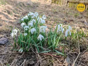 Prodej rodinného domu, Jakubovice, 120 m2