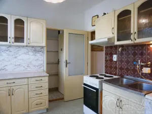 Prodej rodinného domu, Dřevěnice - Dolánky, 205 m2