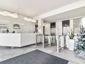 Pronájem kanceláře, Praha - Dejvice, Evropská, 236 m2