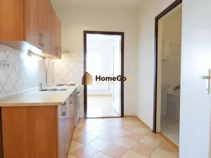 Pronájem bytu 1+1, Praha - Nusle, U gymnázia, 49 m2