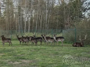 Prodej rodinného domu, Stará Huť, Krásný život, 140 m2