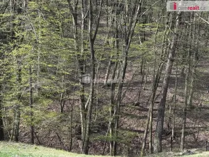 Prodej pozemku pro bydlení, Luhačovice, Lužné, 1153 m2