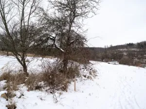 Prodej pozemku pro bydlení, Vyškov - Rychtářov, 911 m2