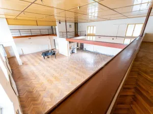 Pronájem obchodního prostoru, Štěpánovice, 440 m2