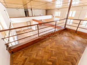 Pronájem obchodního prostoru, Štěpánovice, 440 m2