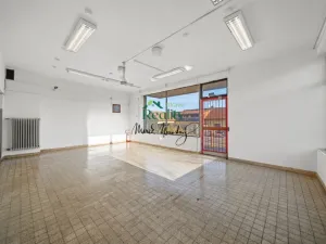Prodej obchodního prostoru, Sovětice, 90 m2