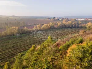 Prodej chaty, Kolešov, 21 m2