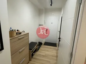 Pronájem bytu 2+kk, Ostrava, Opavská, 50 m2