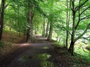 Pronájem bytu 2+kk, Praha - Libuš, K lukám, 43 m2