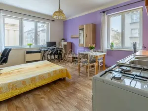 Prodej bytu 2+kk, Praha - Žižkov, Biskupcova, 47 m2