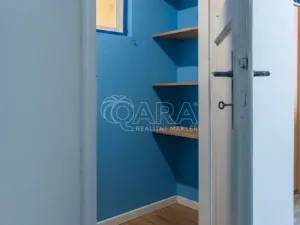 Prodej bytu 2+kk, Praha - Žižkov, Biskupcova, 47 m2