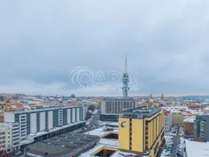 Prodej bytu 2+kk, Praha - Žižkov, Biskupcova, 47 m2