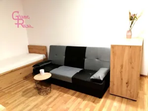 Pronájem bytu 1+kk, Brno, Kollárova, 27 m2