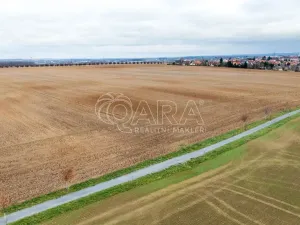 Prodej pole, Dolní Břežany, 8511 m2