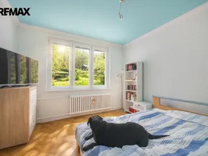 Prodej bytu 3+1, Březová, Hamerská, 63 m2