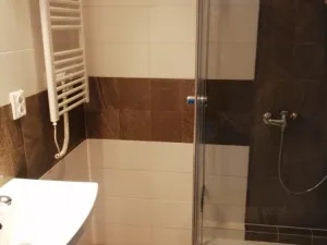 Pronájem bytu 1+1, Olomouc - Hodolany, Tyršova, 50 m2