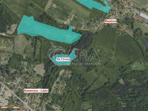 Prodej lesa, Velké Popovice, 19731 m2