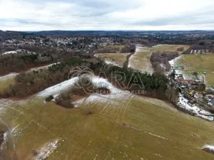 Prodej lesa, Velké Popovice, 19731 m2