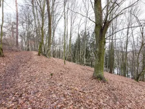 Prodej lesa, Velké Popovice, 19731 m2