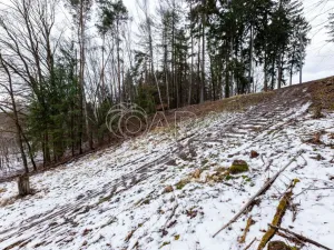 Prodej lesa, Velké Popovice, 19731 m2