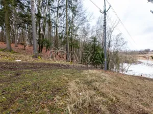 Prodej lesa, Velké Popovice, 19731 m2