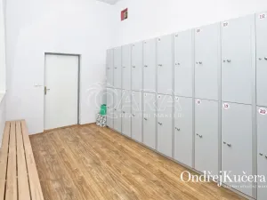 Prodej činžovního domu, Kladno, Osvoboz. pol. vězňů, 1000 m2