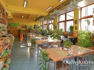 Prodej činžovního domu, Kladno, Osvoboz. pol. vězňů, 1000 m2