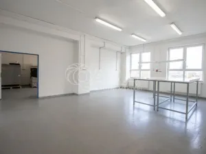 Pronájem skladu, Frenštát pod Radhoštěm, Martinská čtvrť, 484 m2