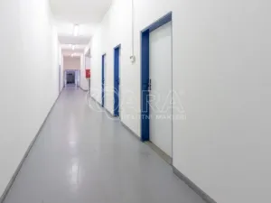 Pronájem skladu, Frenštát pod Radhoštěm, Martinská čtvrť, 484 m2