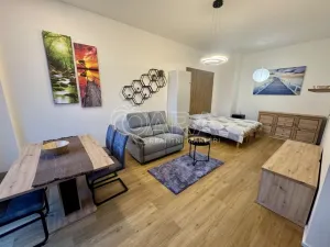 Pronájem bytu 1+kk, Praha - Žižkov, Malešická, 42 m2