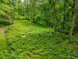 Prodej pozemku pro bydlení, Hrubá Skála, 5519 m2