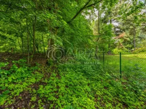 Prodej pozemku pro bydlení, Hrubá Skála, 5519 m2