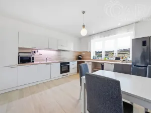 Prodej rodinného domu, Vyškov - Opatovice, 191 m2