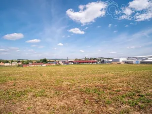Prodej komerčního pozemku, Dolní Kralovice, 10347 m2