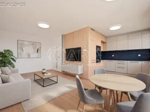 Prodej bytu 4+kk, Praha - Žižkov, U kněžské louky, 81 m2