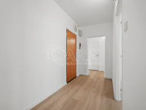 Prodej bytu 4+kk, Praha - Žižkov, U kněžské louky, 81 m2