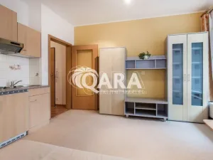 Pronájem bytu 1+kk, Praha, 28 m2