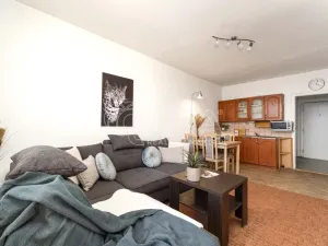 Prodej bytu 1+kk, Ostrava - Moravská Ostrava, Gen. Píky, 27 m2