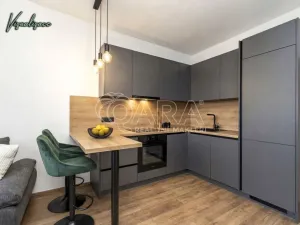 Prodej bytu 1+kk, Ostrava - Moravská Ostrava, Gen. Píky, 27 m2